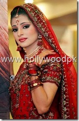 pakistani bridial dresses lehnga choli poshak. mehendi design . pakistani gewellery. indian bride (12)