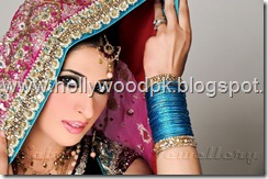 pakistani bridial dresses lehnga choli poshak. mehendi design . pakistani gewellery. indian bride (13)