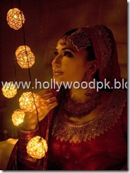 pakistani bridial dresses lehnga choli poshak. mehendi design . pakistani gewellery. indian bride (16)