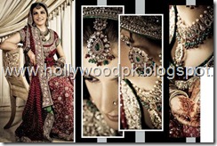 pakistani bridial dresses lehnga choli poshak. mehendi design . pakistani gewellery. indian bride (20)