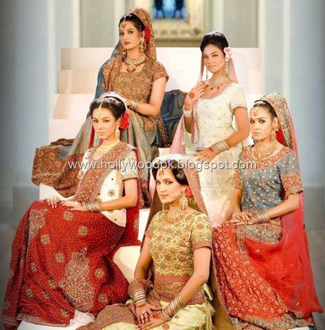 [pakistani bridial dresses lehnga choli poshak. mehendi design . pakistani gewellery. indian bride (21)[2].jpg]