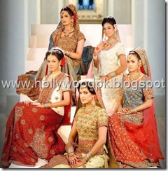 pakistani bridial dresses lehnga choli poshak. mehendi design . pakistani gewellery. indian bride (21)