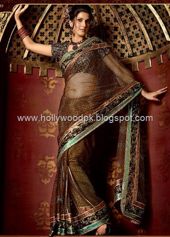 [indian saari. pakistani saari. bangladeshi saari. pakistani fashion.. indian fashion. latest dresses (29)[2].jpg]