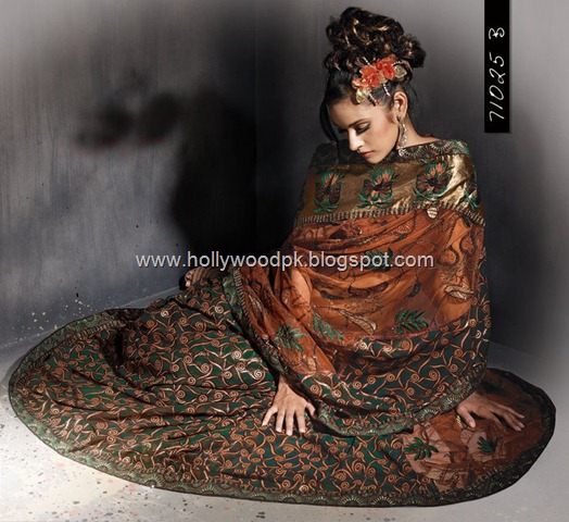 [indian saari. pakistani saari. bangladeshi saari. pakistani fashion.. indian fashion. latest dresses (67)[2].jpg]