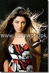 pakistani models. pakistani actresses. desi babes. desi girls. indian girls (18)