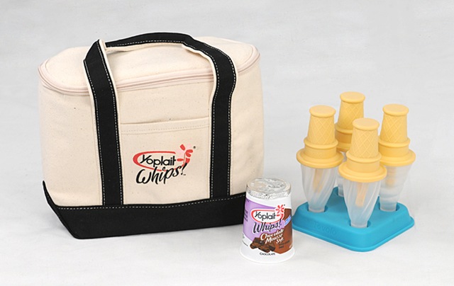 [yoplait whips prize pack.jpg]