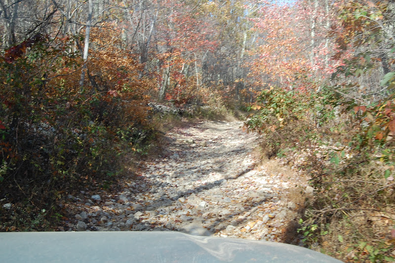 Camping%20219.JPG