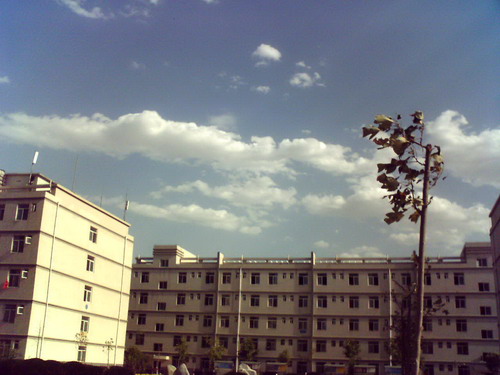 080603_170930.jpg