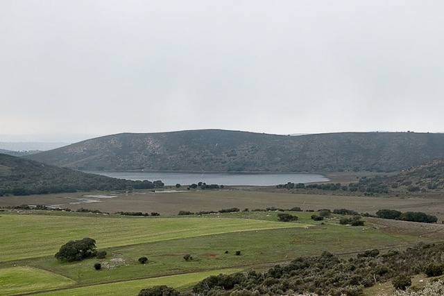 [14032010-lomillos[3].jpg]