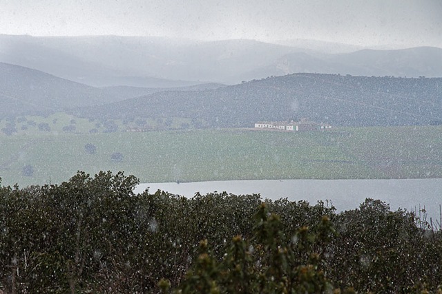 [14032010-nevada[3].jpg]