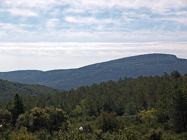 [P4254245[3].jpg]