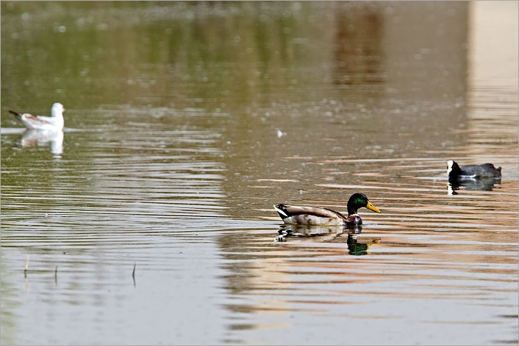 IMG_8730 IMG_8730
