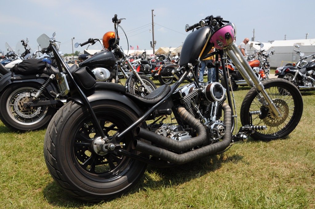[DSC_3279[2].jpg]