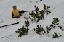 DSC_0414.JPG