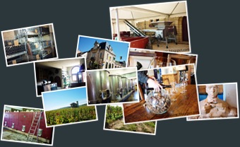 檢視 Wine test in a castle winery @ Burgundy 2010