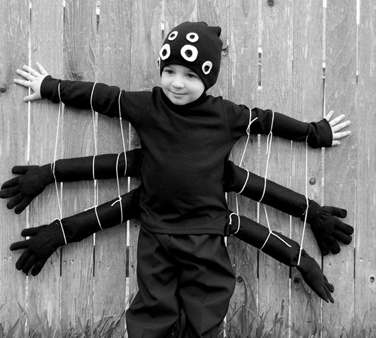 [spider1[4].jpg]