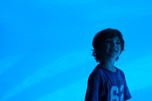 [finn[3].jpg]
