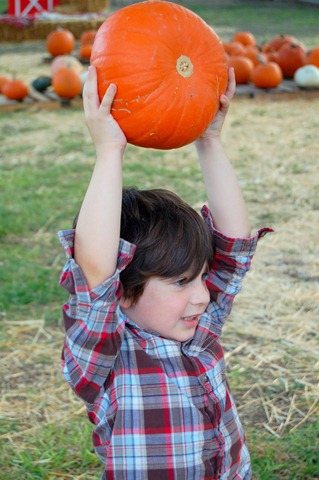 [pumpkins10[3].jpg]
