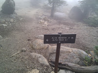 IMG_20100922_111241.jpg Photo