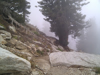 IMG_20100922_121213.jpg Photo
