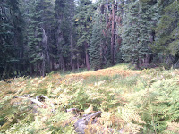 IMG_20100922_095336.jpg Photo