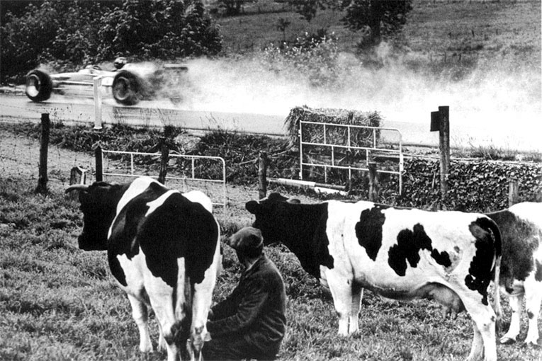Грэм Хилл на Lotus 49B на Гран-при Бельгии 1968 проезжает мимо коров