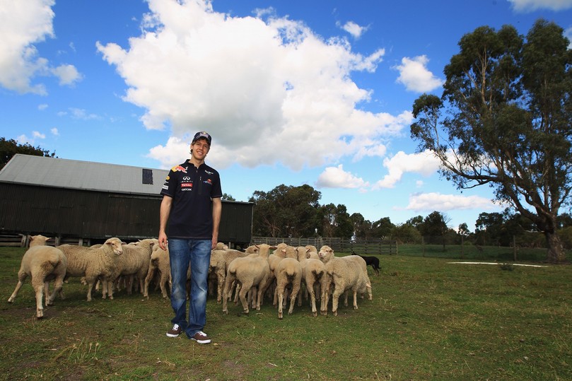 Себастьян Феттель со стадом овец на Гран-при Австралии 2011