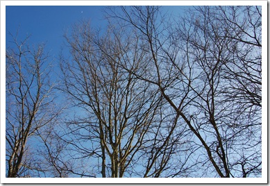 sky