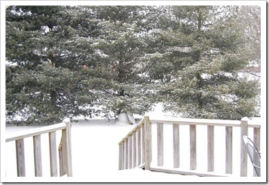 snow