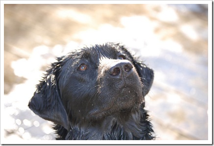 mack close up