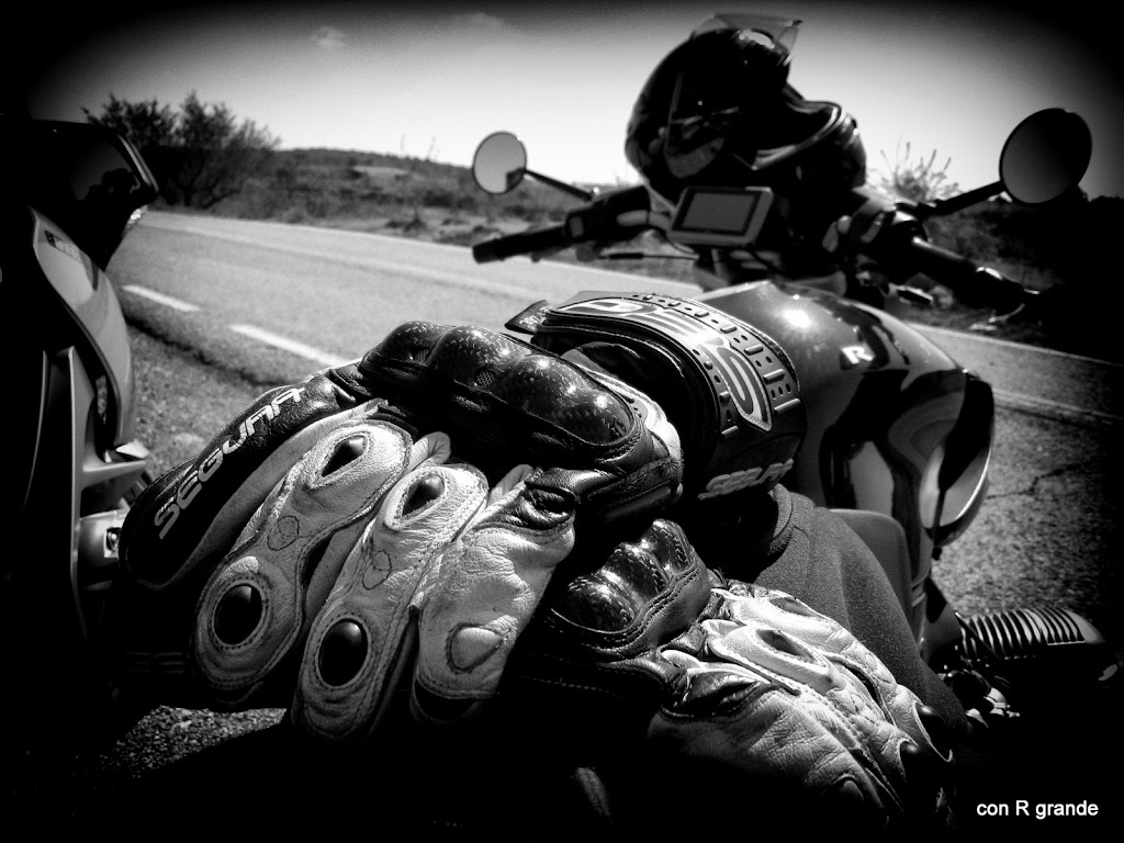 20100410_RAR%20IX_231B.jpg