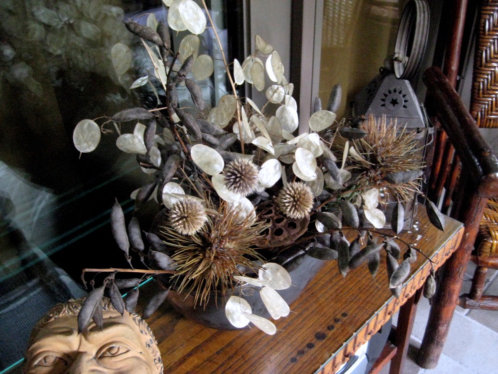 [Dried flowers and seed pods[2].jpg]