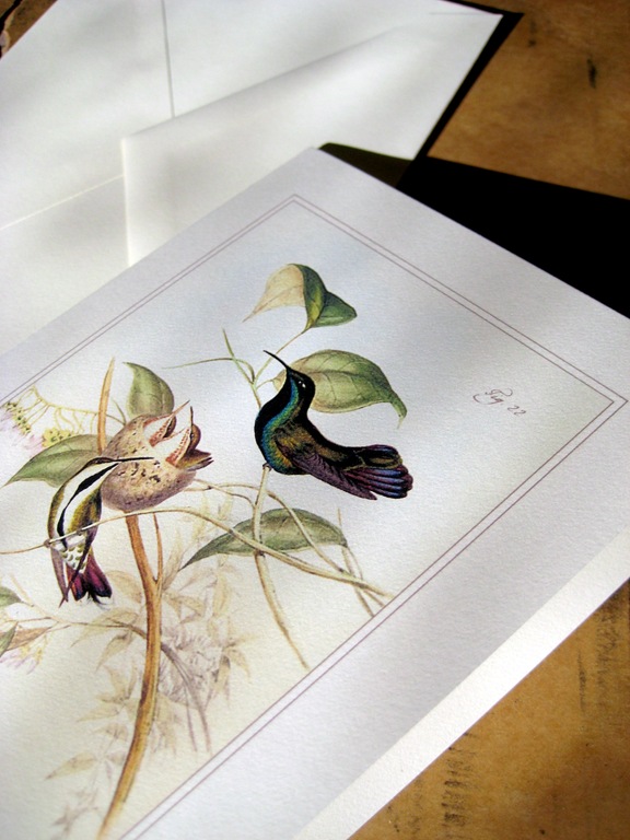 [Hummingbirds and nest card detail[4].jpg]