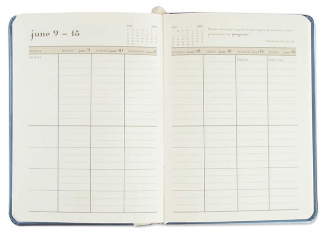 [myagenda0708_weekview2.jpg]