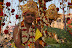 Inde-Orissa février 2008 360.jpg