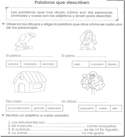 Ejercicio Adjetivos Calificativos Primer Grado Primaria Ejercicio Adjetivos Calificativos Primer Grado Primaria