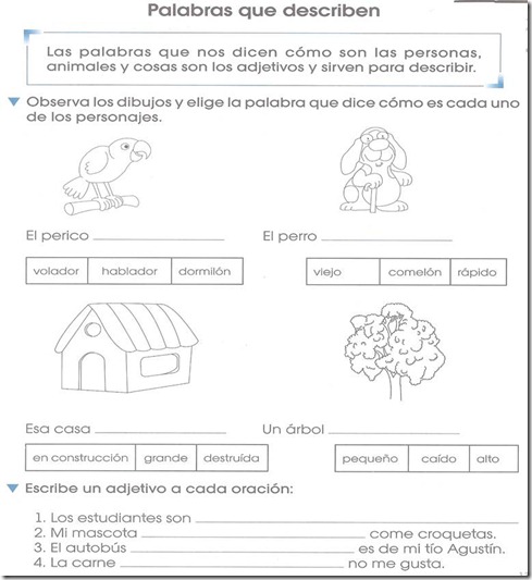 Ejercicio Adjetivos calificativos – primer grado de primaria