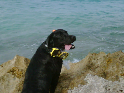 IMG00284-20090530-1648.jpg