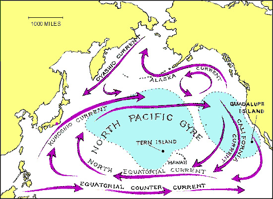 The North Pacific Gyre
