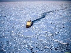 10_antarktida