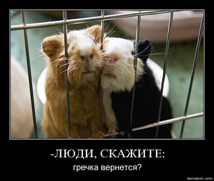77506-liudi_skajite_grechka_vernetsia