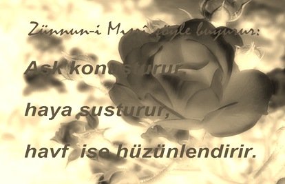 1068455756285862569_rs