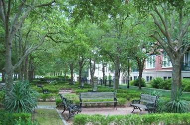 IMG_2226 IMG_2226