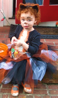 IMG_2617 IMG_2617