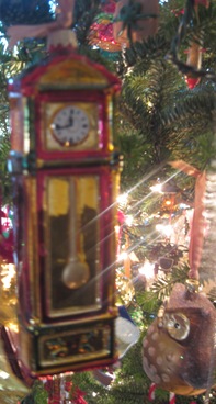 IMG_2794 IMG_2794
