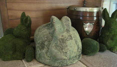 IMG_3678 IMG_3678