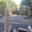 The tour ended with a view from the top of the most important log jam of the project which blocks off the dredged channel to redirect the water back to its historic channel.