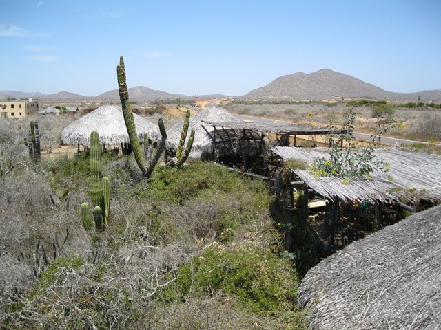 [Cabo San Lucas 2 074.jpg]