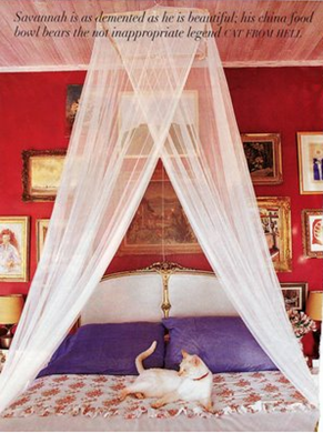 Canopy Bed