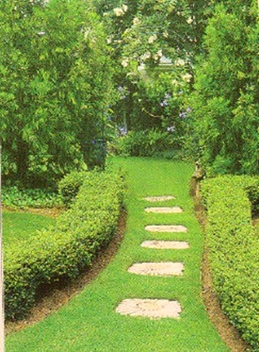 Garden Pathways